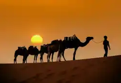 Palmeraies, dromadaires et dunes de Merzouga — photo 3 du programme