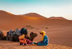 Palmeraies, dromadaires et dunes de Merzouga — photo 4 du programme