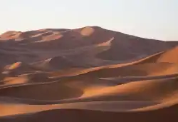 Palmeraies, dromadaires et dunes de Merzouga — photo 6 du programme