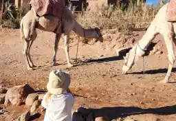 Aït Ben Haddou et la vie à l’écolodge — photo 2 du programme